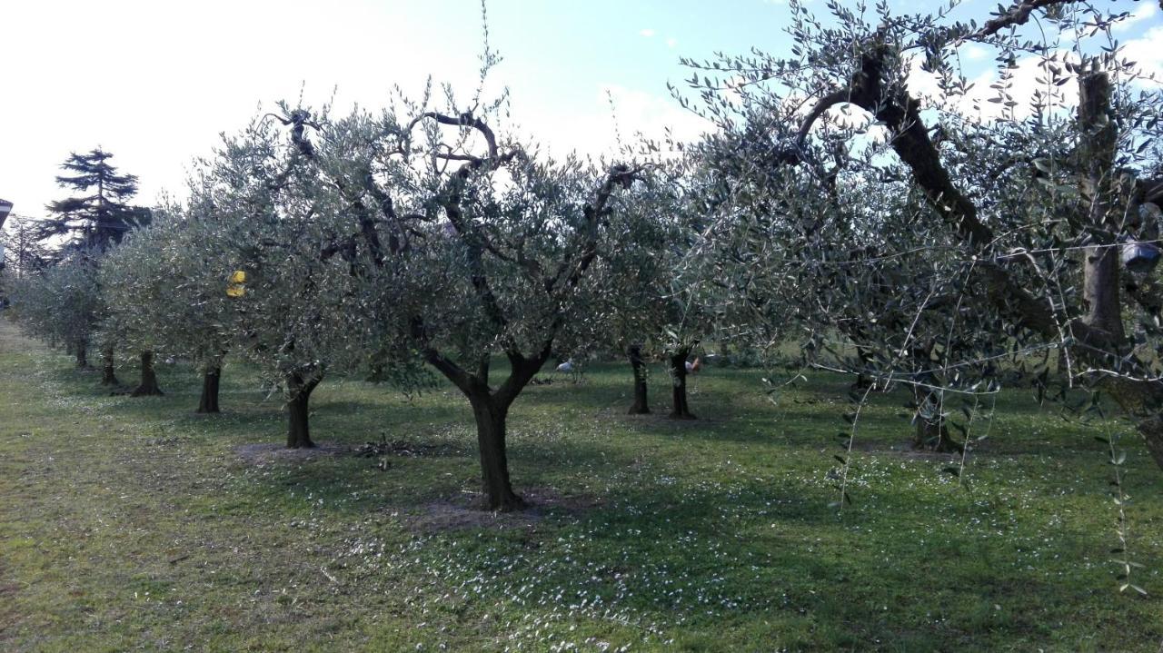 Country House Bike Friendly Famiglia Belleggia Apartment Porto Sant'Elpidio Luaran gambar